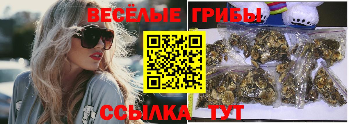 Псилоцибиновые грибы ЛСД  Галлюциногенные грибы мухоморы  Шахты  Вход с VPN 