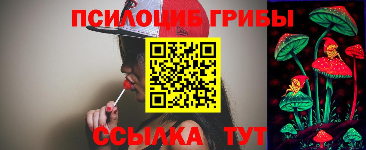 Галлюциногенные грибы прущие грибы Шахты