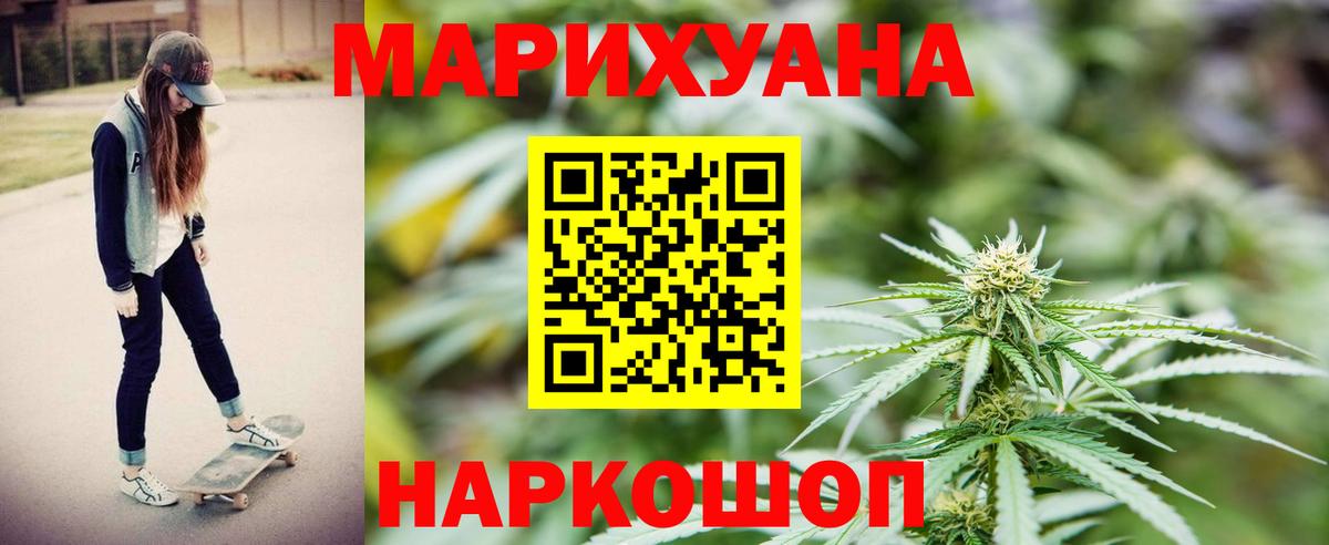Конопля гибрид Шахты